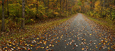 Lost On Grey Roads - Fine Art Book