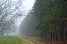 Lost On Grey Roads - Fine Art Book