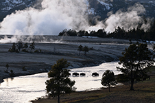 Yellowstone Country - Idaho, Wyoming and Montana - Fine Art Book
