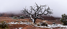Arches And Canyonlands Photography Workshop