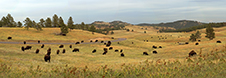 Black Hills Of South Dakota Photography Workshop