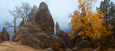 Black Hills Of South Dakota Photography Workshop