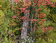 Coast Of Maine Photography Workshop
