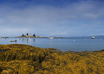 Coast Of Maine Photography Workshop