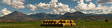 Colorado Fall Colors Photography Workshop