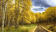 Colorado Fall Colors Photography Workshop