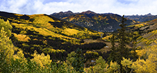 Colorado Fall Colors Photography Workshop