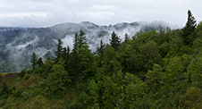 Columbia Gorge Photography Workshop