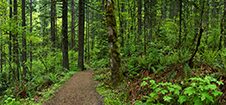 Columbia Gorge Photography Workshop