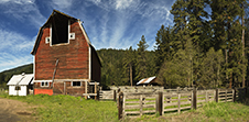 Columbia Gorge Photography Workshop