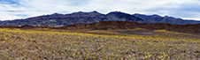 Death Valley Photography Workshop Death Valley Photography Workshop