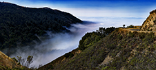 King City Photography Workshop