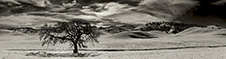 King City Photography Workshop