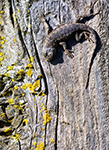Napa Valley Photography Workshop