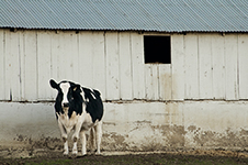 Napa Valley Photography Workshop