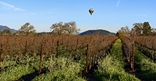Napa Valley Photography Workshop