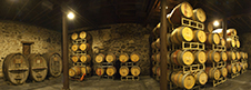 Napa Valley Photography Workshop