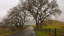 Napa Valley Photography Workshop