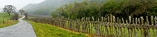 Napa Valley Photography Workshop