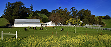 Napa Valley Photography Workshop