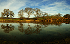 Napa Valley Photography Workshop
