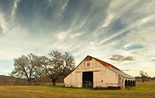Napa Valley Photography Workshop