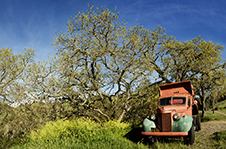Napa Valley Photography Workshop