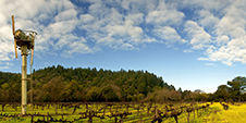 Napa Valley Photography Workshop