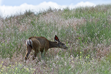 Palouse Valley Photography Workshop