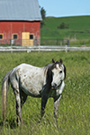Palouse Valley Photography Workshop