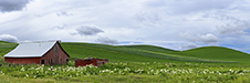 Palouse Valley Photography Workshop