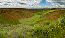 Palouse Valley Photography Workshop