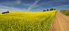Palouse Valley Photography Workshop