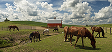 Palouse Valley Photography Workshop