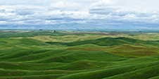 Palouse Valley Photography Workshop