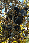 Shenandoah National Park Photography Workshop