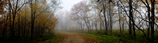 Shenandoah National Park Photography Workshop