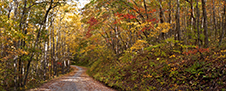 Shenandoah National Park Photography Workshop