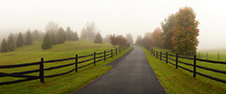 Shenandoah National Park Photography Workshop
