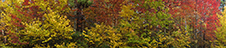 Shenandoah National Park Photography Workshop