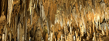 Shenandoah National Park Photography Workshop