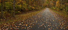 Shenandoah National Park Photography Workshop