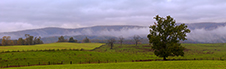 Shenandoah National Park Photography Workshop