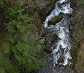 Washington State Photography Workshop