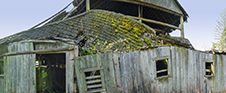 Washington State Photography Workshop