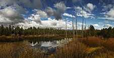 Yellowstone And Grand Tetons Photography Workshop