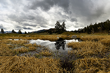 Yellowstone And Grand Tetons Photography Workshop