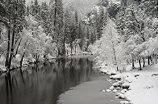 Yosemite Valley Winter Trip Photography Workshop