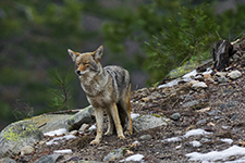 Yosemite Valley Winter Trip Photography Workshop