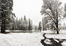 Yosemite Valley Winter Trip Photography Workshop